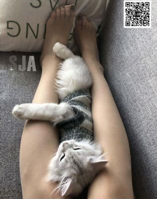 误杀二免费观看完整版
