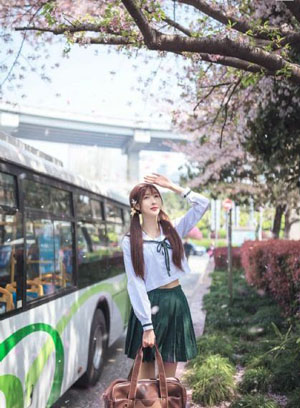 浪漫樱花动漫在线观看免费高清