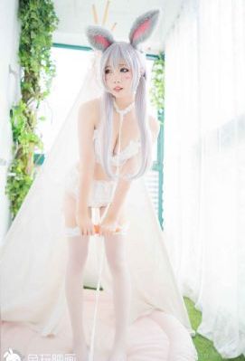 在线观看免费播放电视剧大全