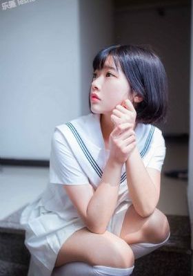电视剧雪豹免费观看完整版