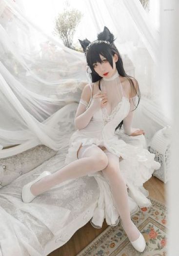 免费观看电视剧全集在线播放