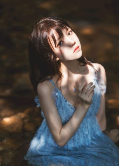 热播电视剧排行榜
