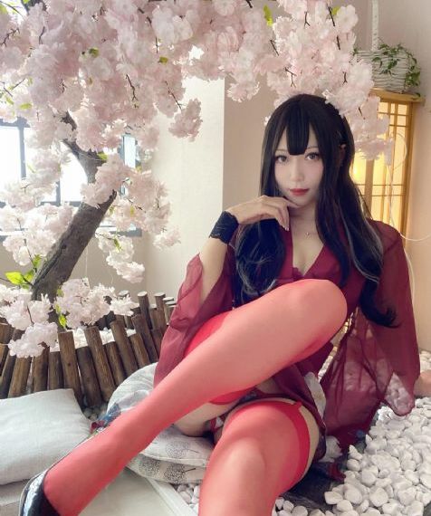 全球高武动画免费观看