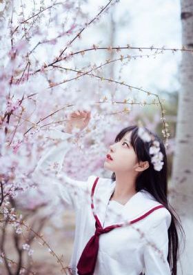 范闲电视剧全集免费